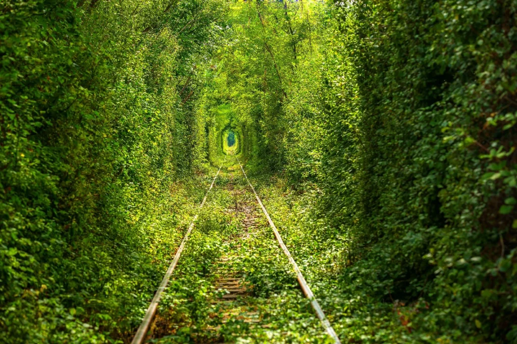tunnel de l amour agence pézenas