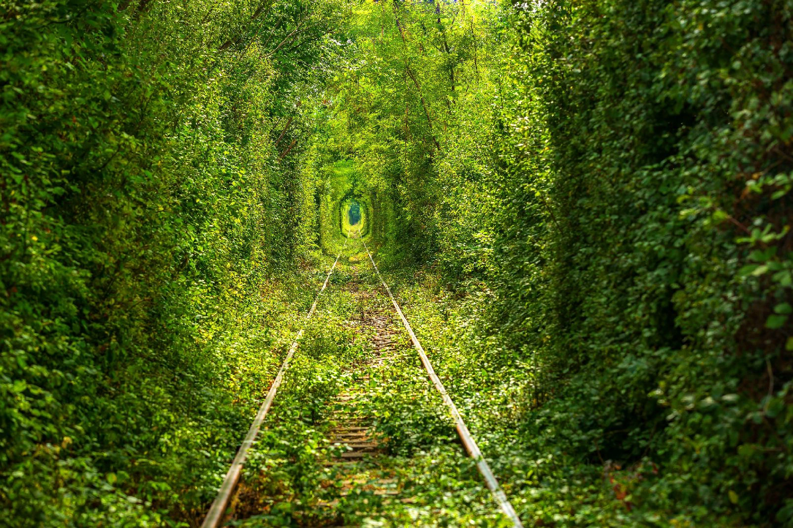 tunnel de l amour agence pézenas